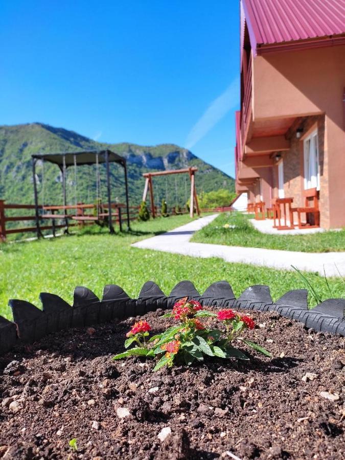 Guesthouse Madzarevic 플루지네 외부 사진